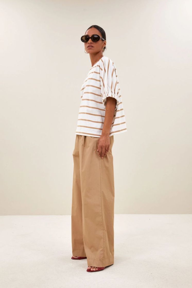 Merle desert stripe