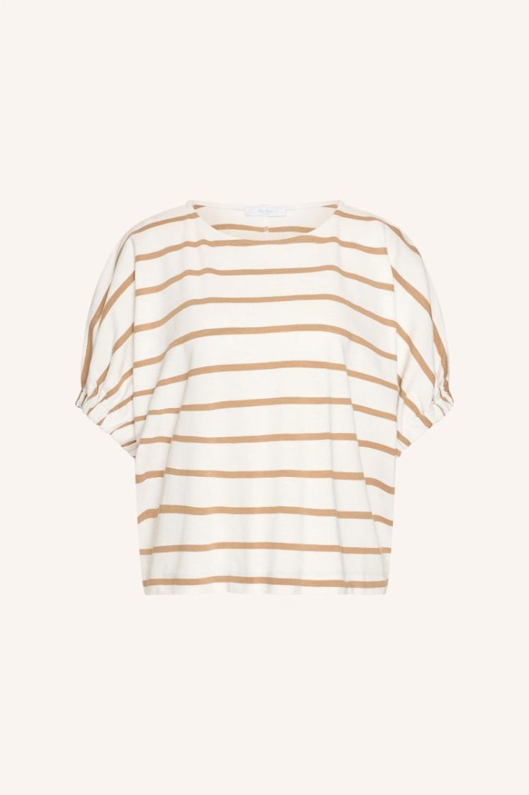 Merle desert stripe