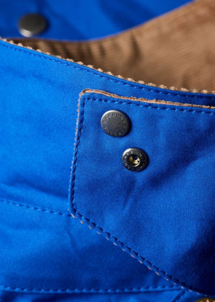 BL51 Royal