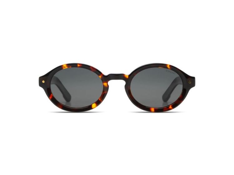 Jace Tortoise Tortoise