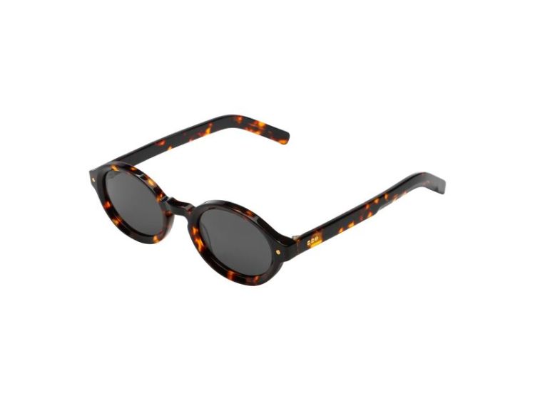 Jace Tortoise Tortoise