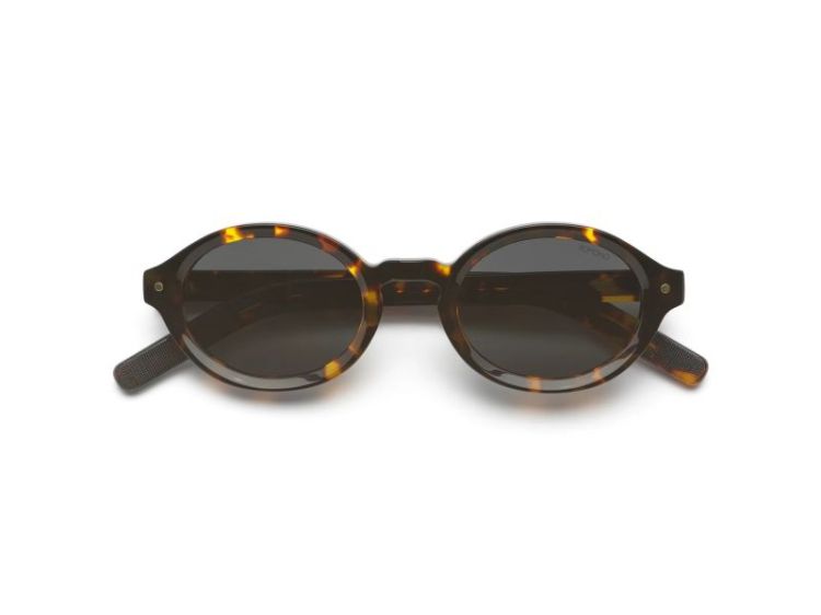 Jace Tortoise Tortoise