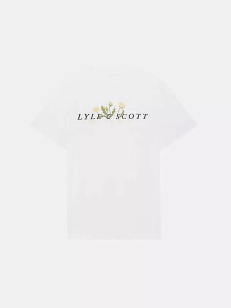 Dandelion script graphic 626 White