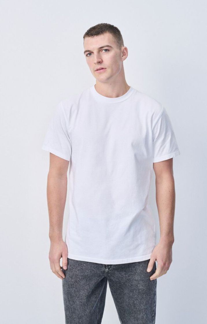 Fizvalley WHITE